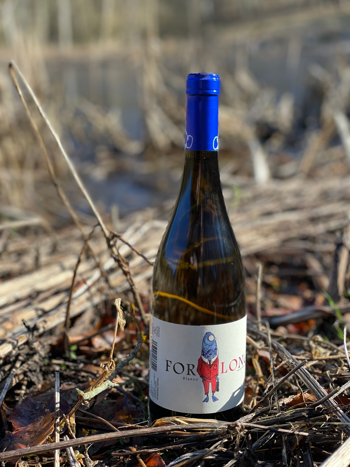 2019 Forlong Blanco