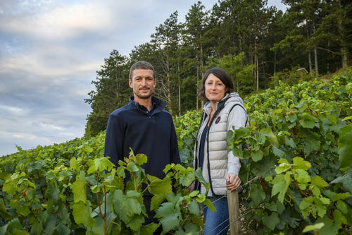 Domaine Raveneau