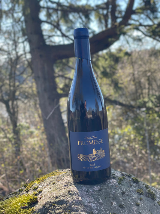 2022 Pinot Noir “Promesse”