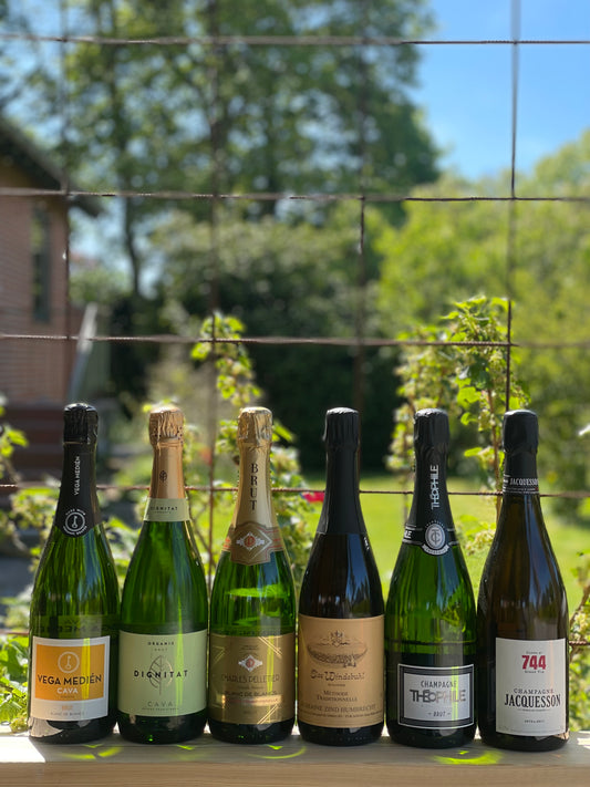 Mousserende – fra Cava til Champagne