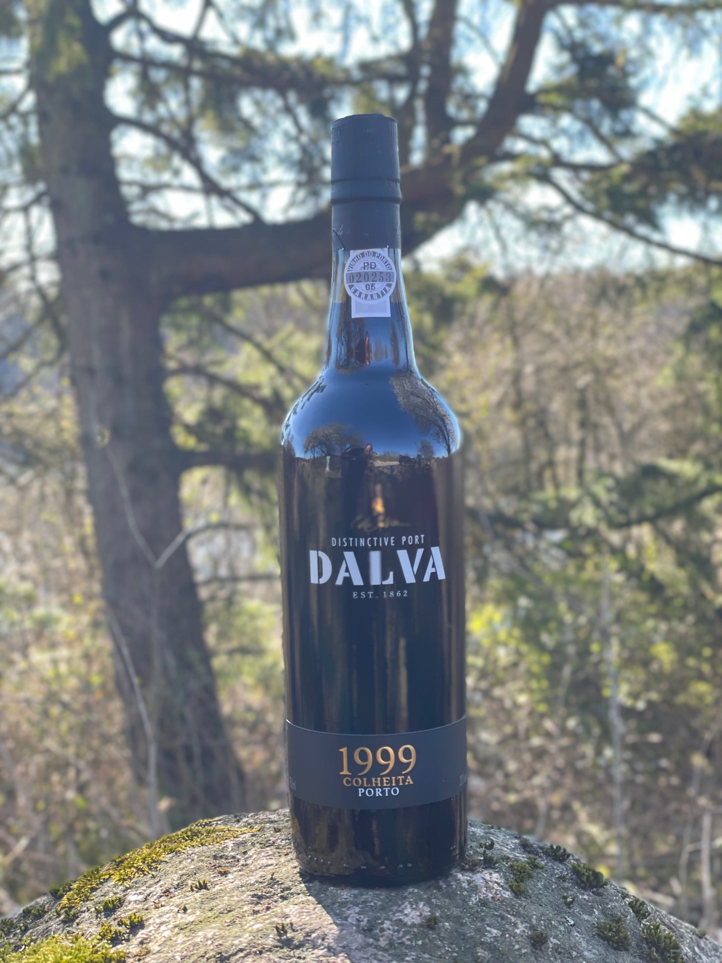 1999 Colheita