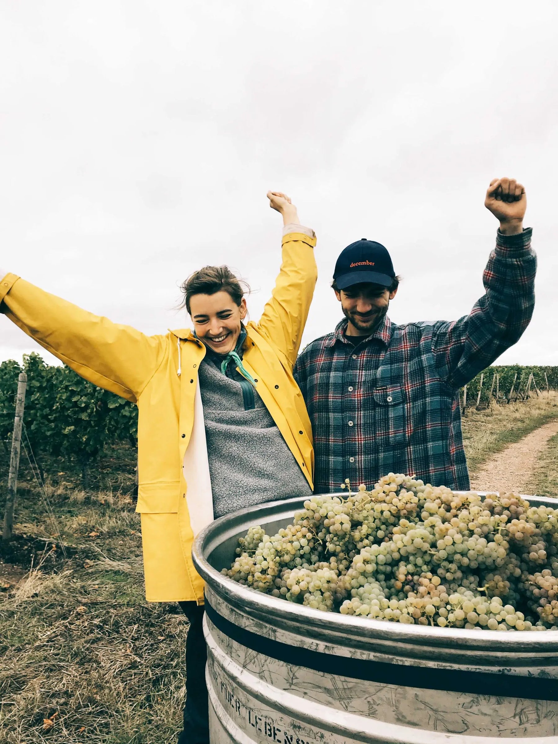 Weingut Baumberger · Stemningsbillede 2