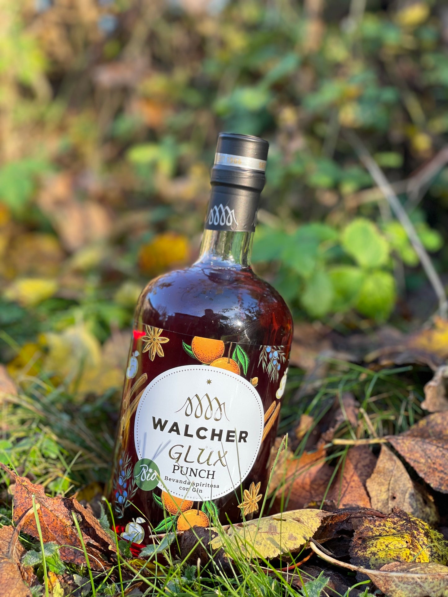 Glüx Winter Edition