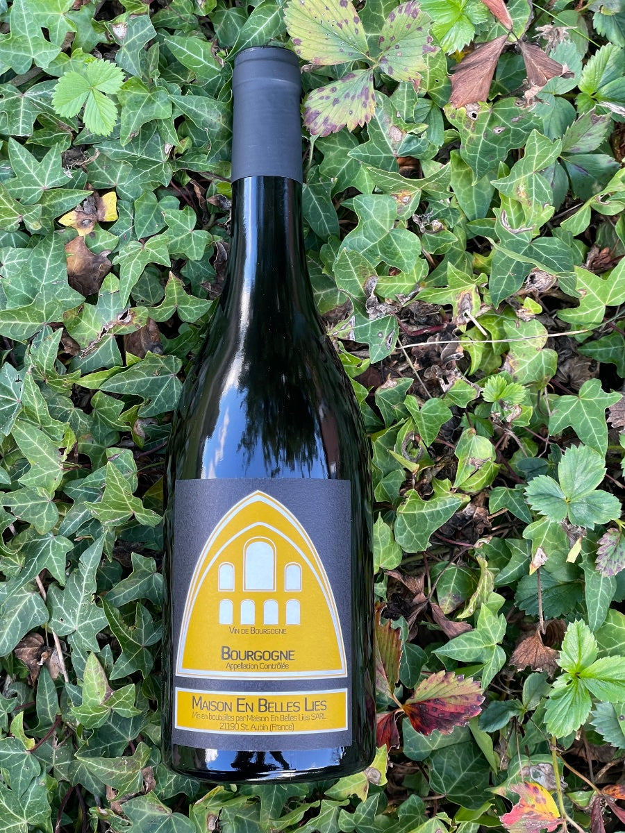 2023 Bourgogne Blanc