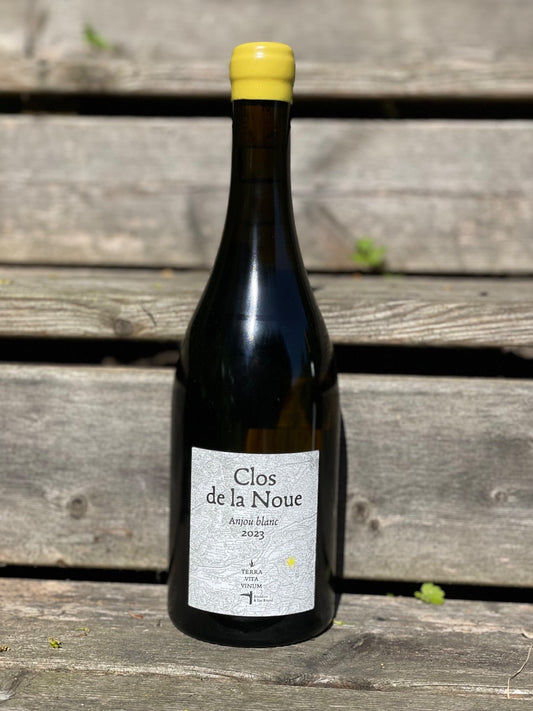 2023 Clos de la Noue