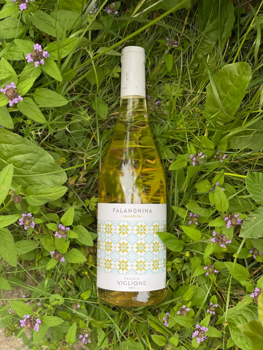 2023 Falanghina