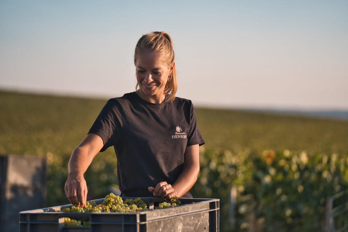 Henriot · Bannerbillede