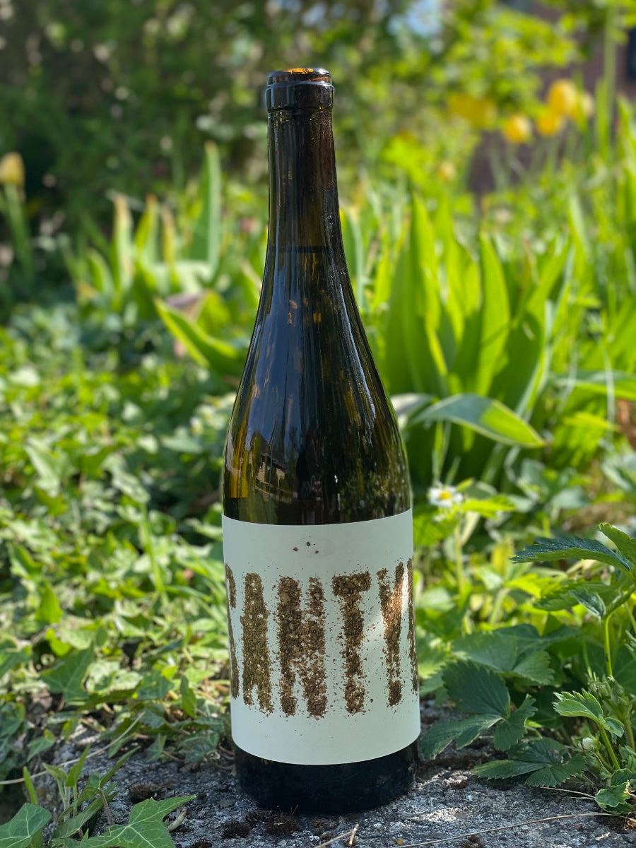 2024 Arenas de Santyuste Verdejo