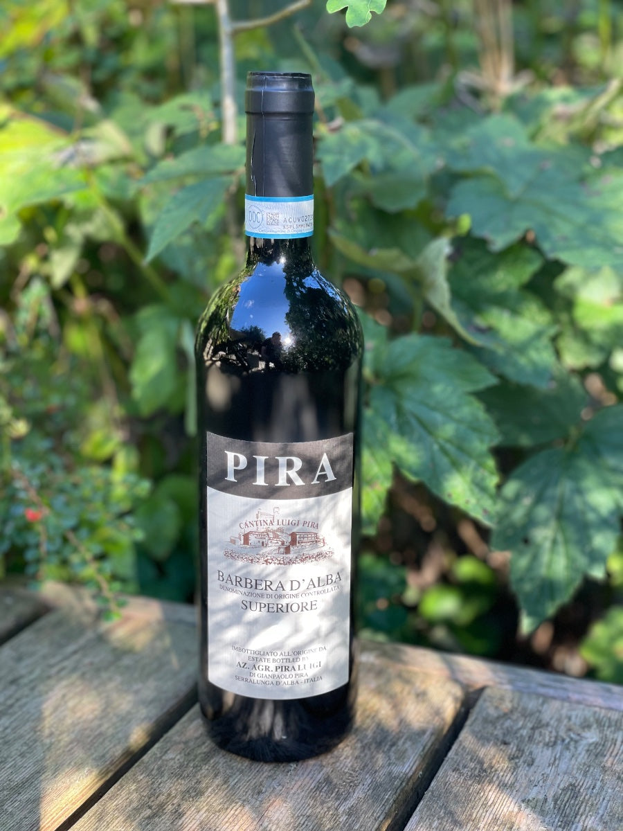 2024 Barbera d'Alba