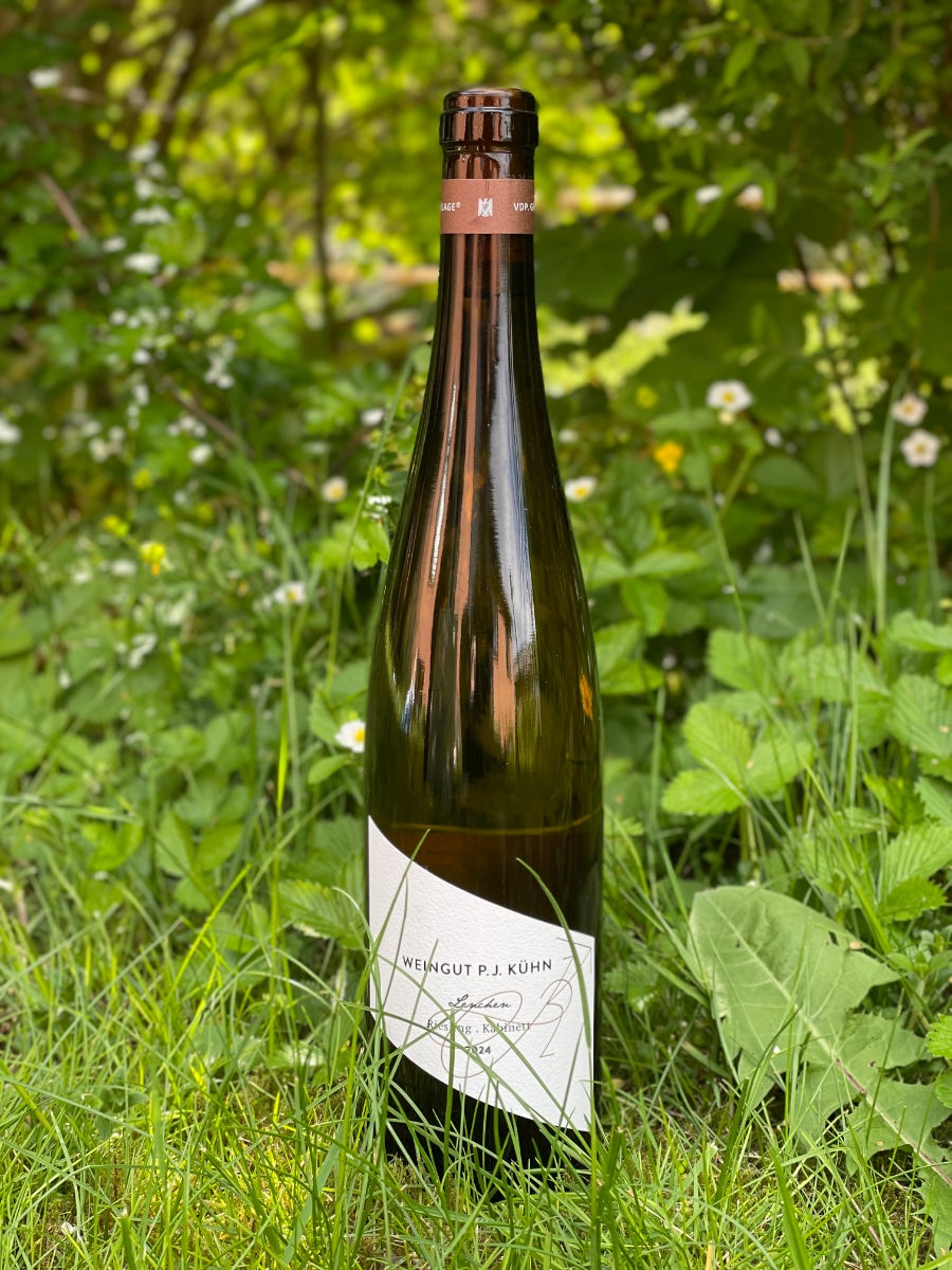 2024 Lenchen Kabinett