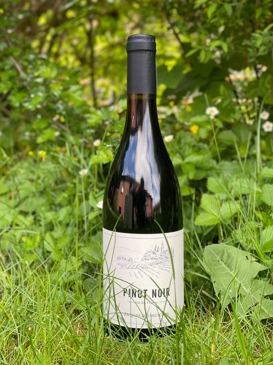 2024 Pinot Noir