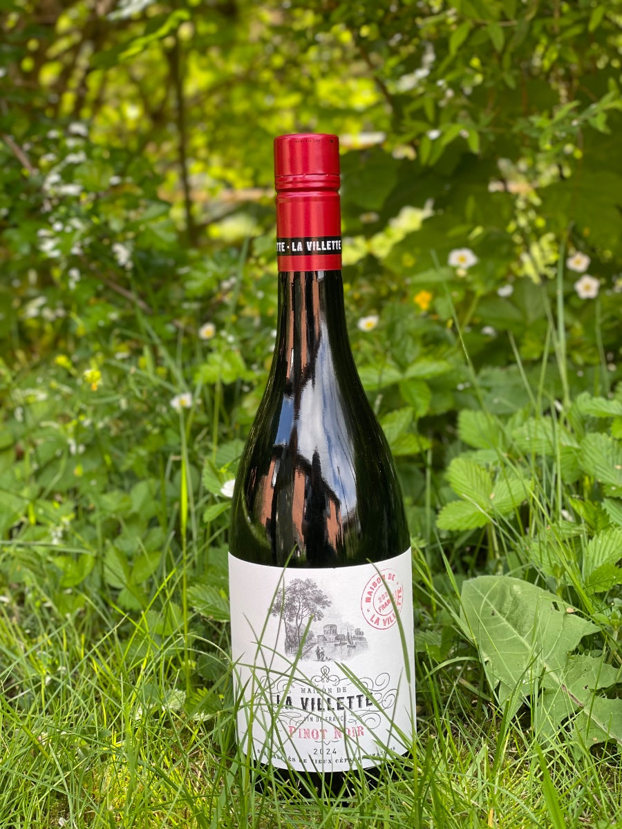 2024 Pinot Noir