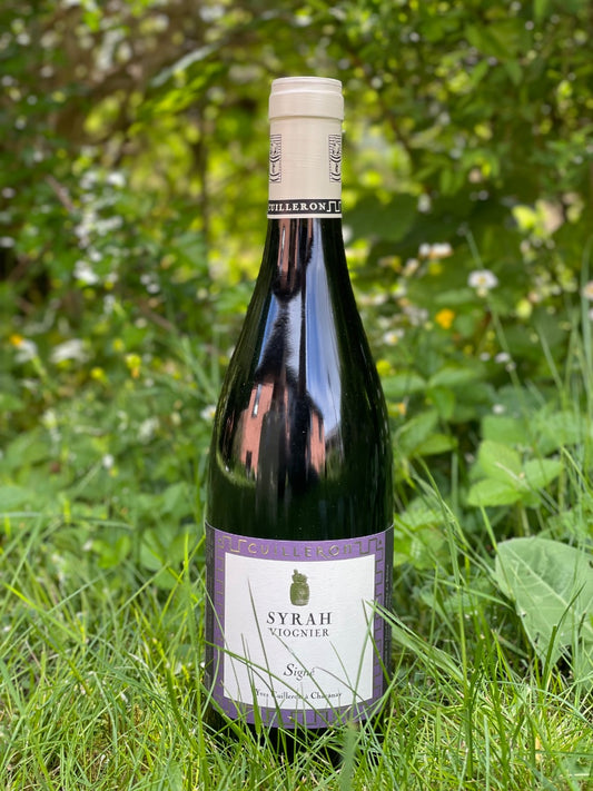 2024 Syrah Signé
