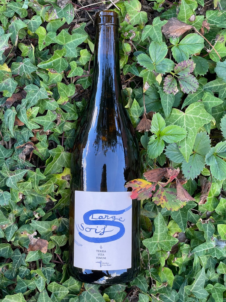 2025 Large Soif Blanc
