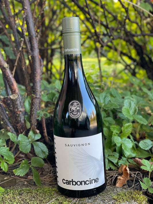 2025 Sauvignon Blanc