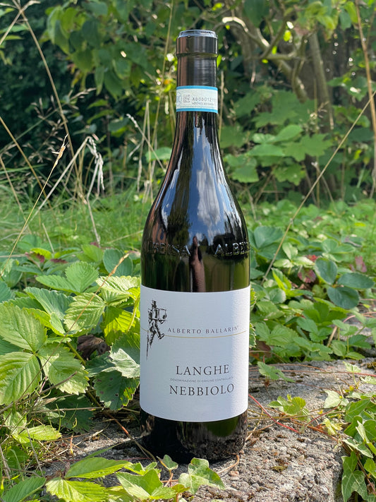 2024 Langhe Nebbiolo