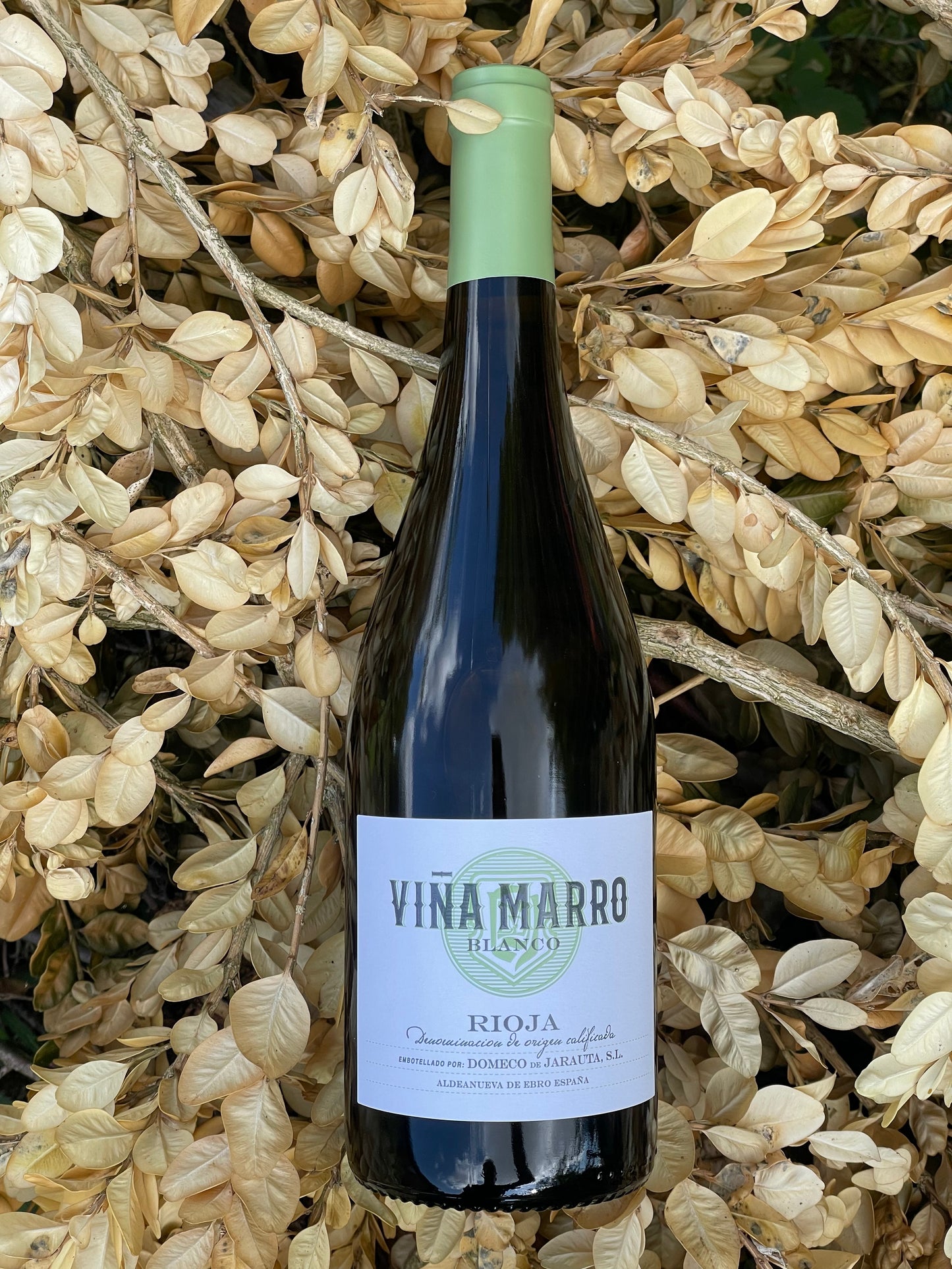 2022 Vina Marro Blanco