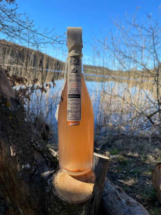 2024 Petnat Pinot Grigio