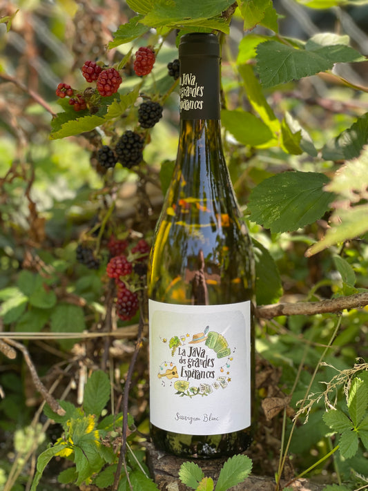 2023 La Java Sauvignon Blanc