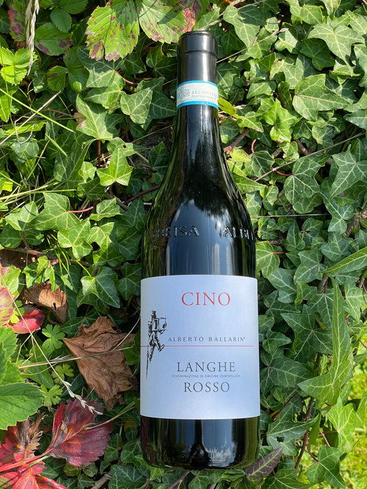 2023 Langhe Rosso Cino