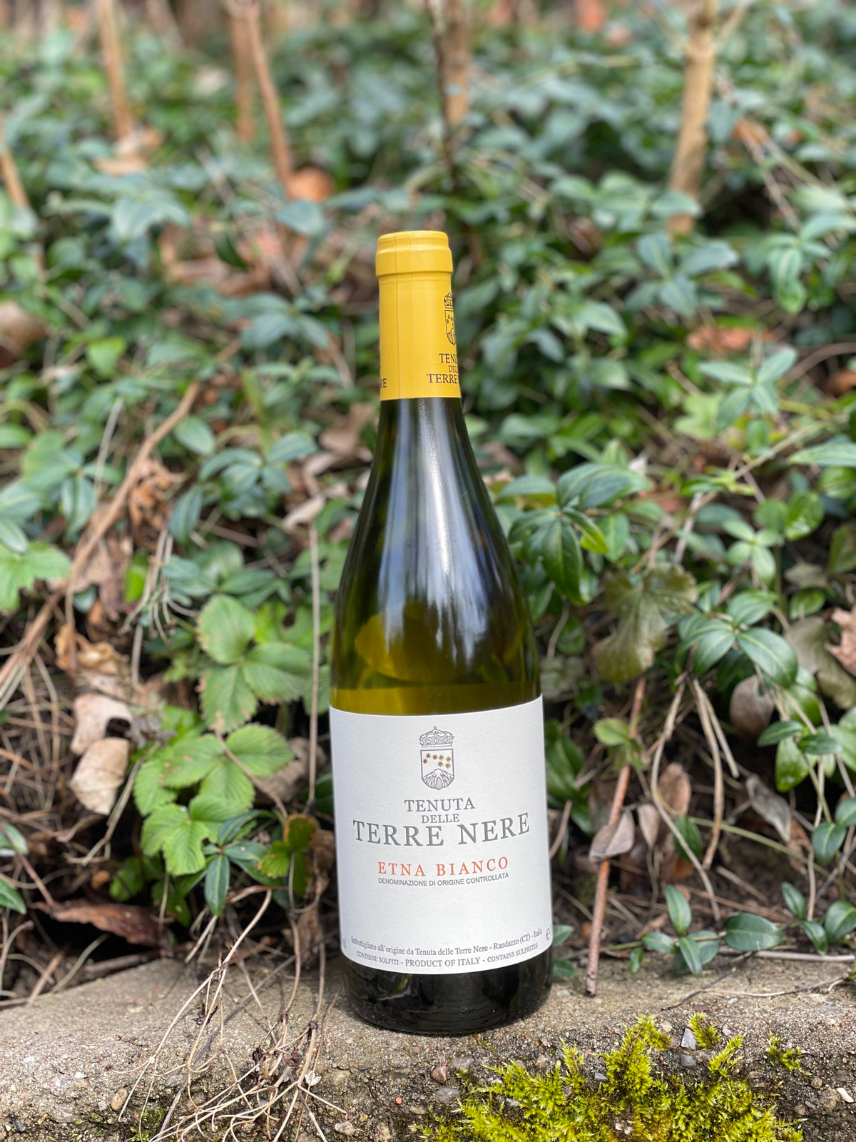 2024 Etna Bianco