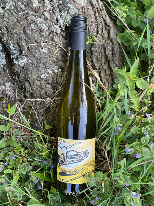 2024 Riesling Free