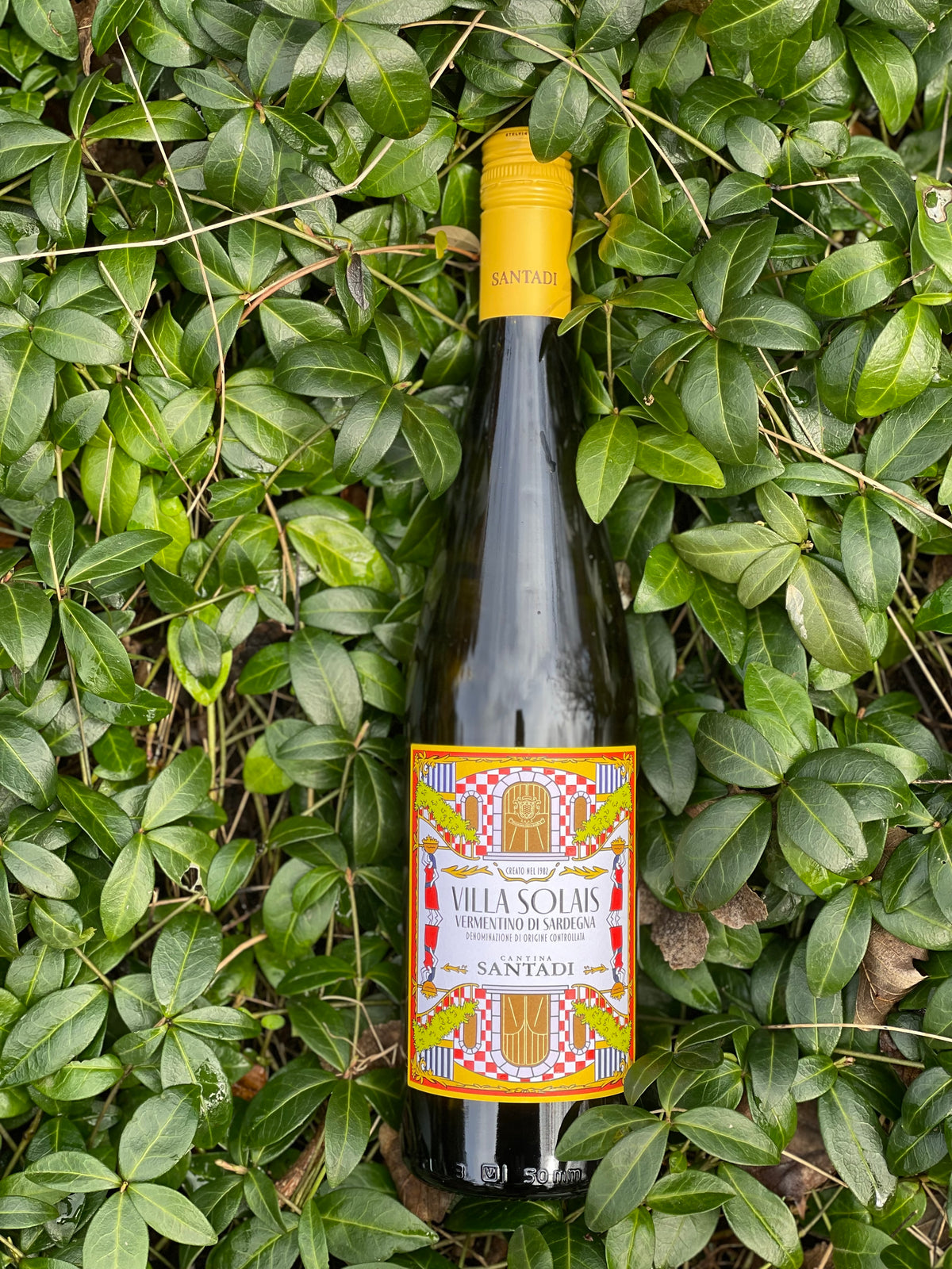 2024 Vermentino "Villa Solais"