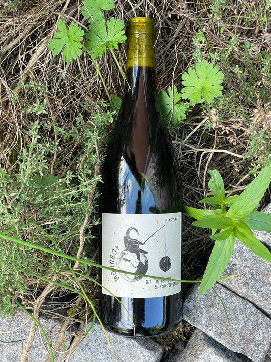 2022 Pinot Noir “Moonboy”