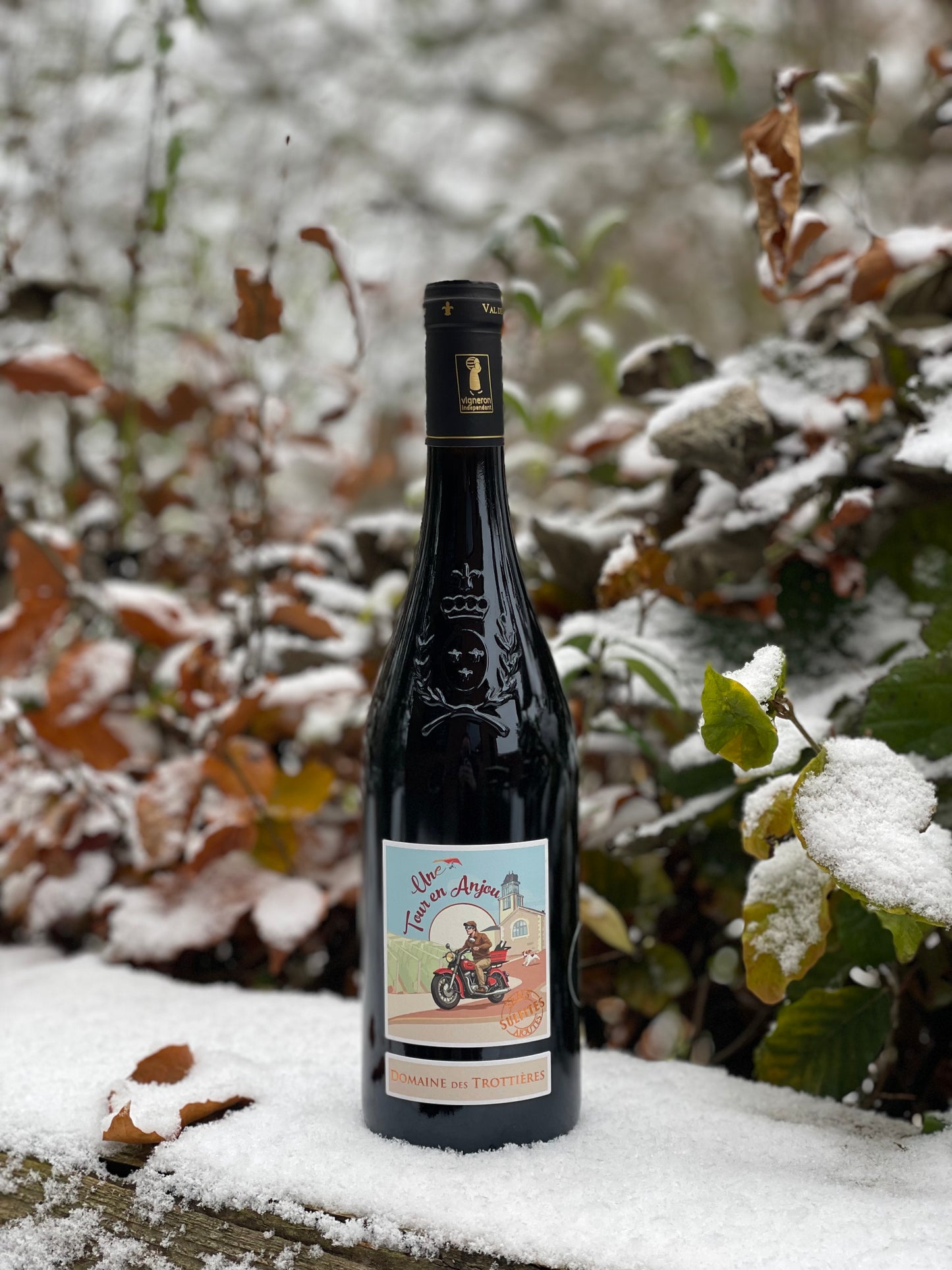 2024 Rouge "Tour en Anjou"