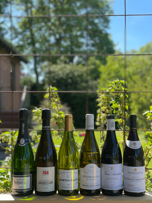 Klassisk Frankrig – fra Champagne til Rhône