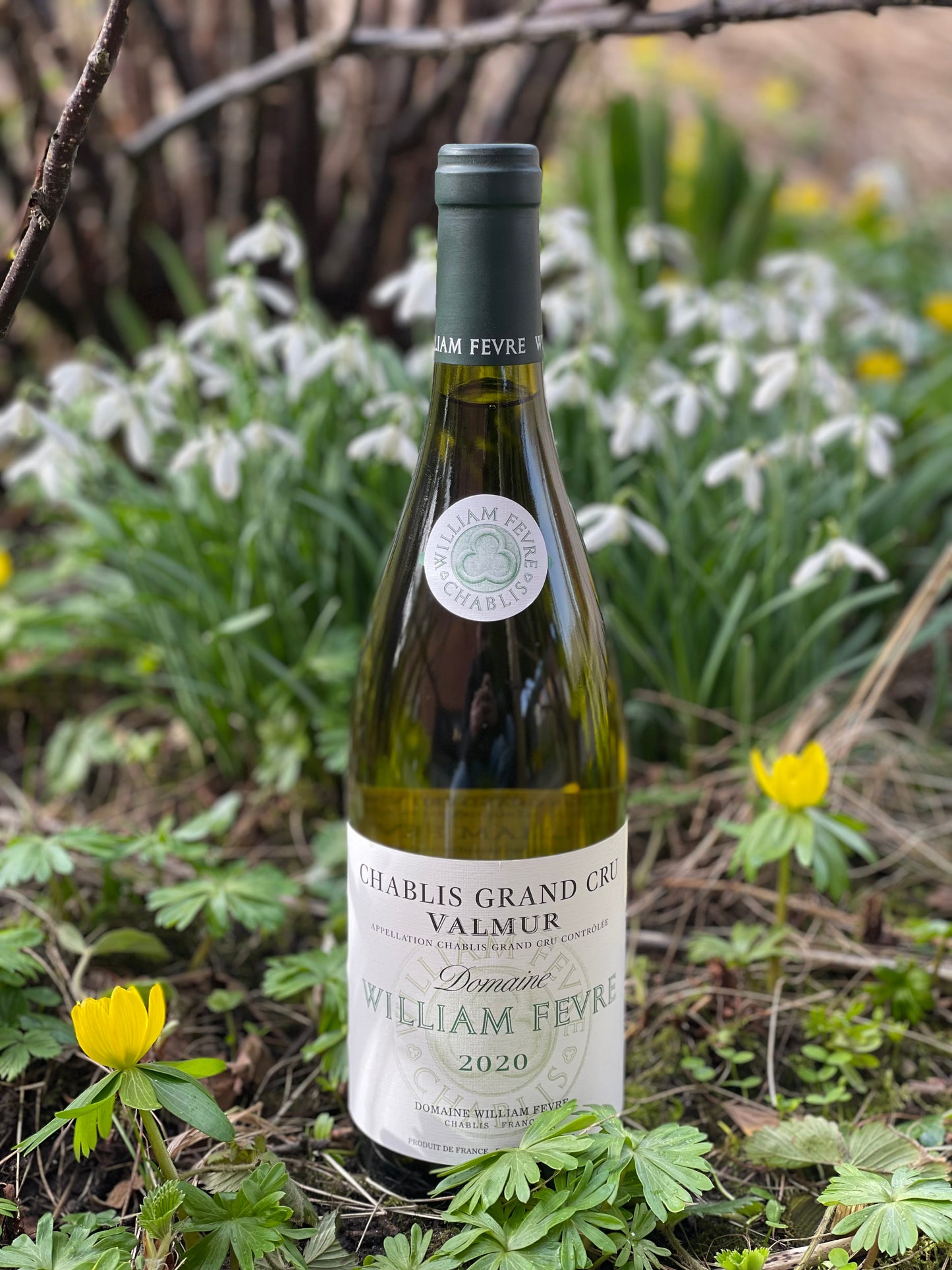 2020 Chablis Valmur