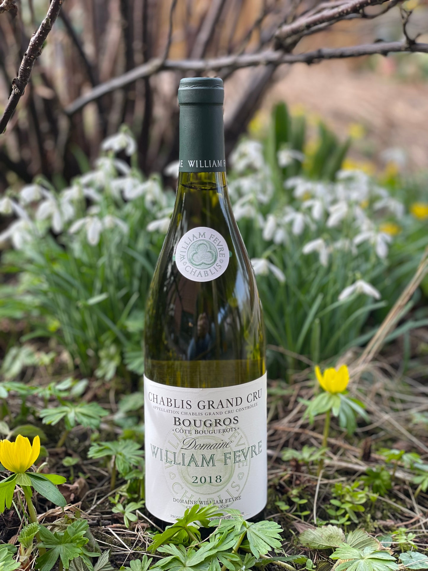 2018 Chablis Bougros "Côte Bouguerots"