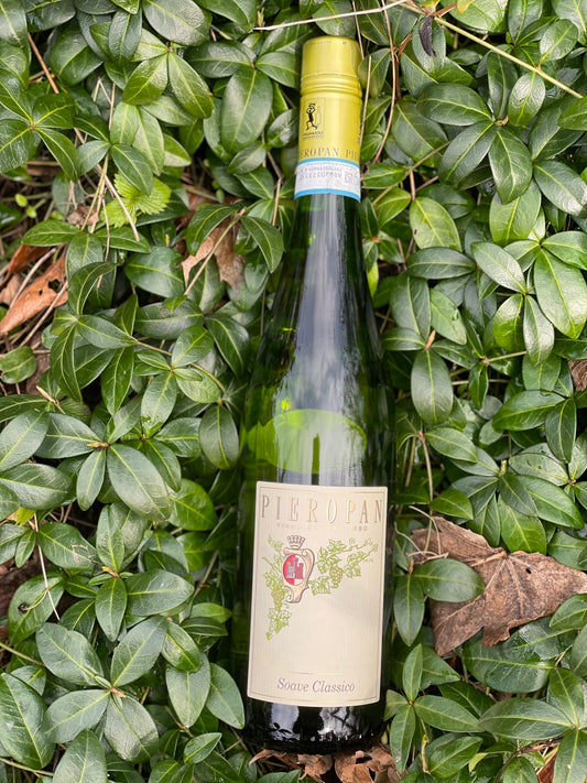 2024 Soave Classico