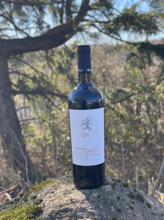2022 Primitivo