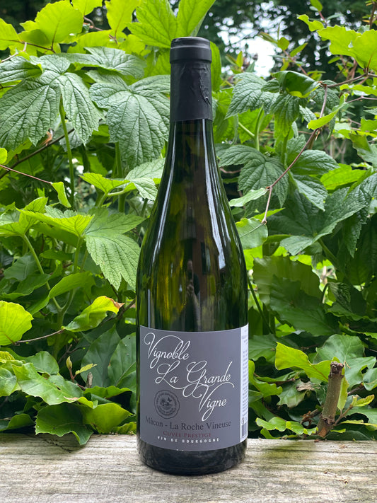 2023 Macon "La Roche Vineuse"