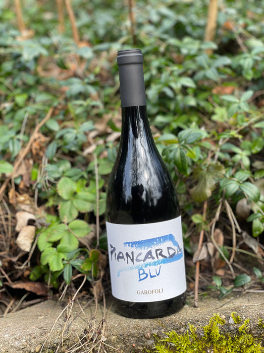 2023 Piancarda Rosso Conero
