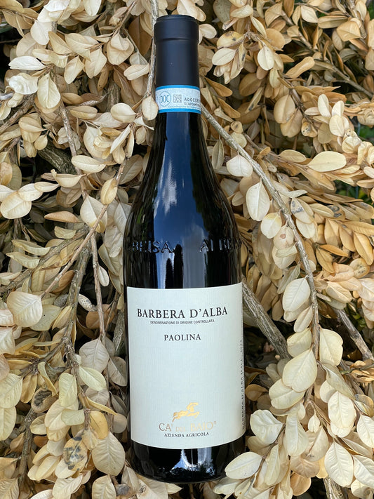 2024 Barbera d'Alba Paolino
