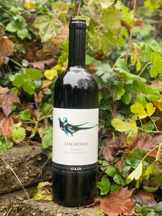 2020 Barolo Dagromis