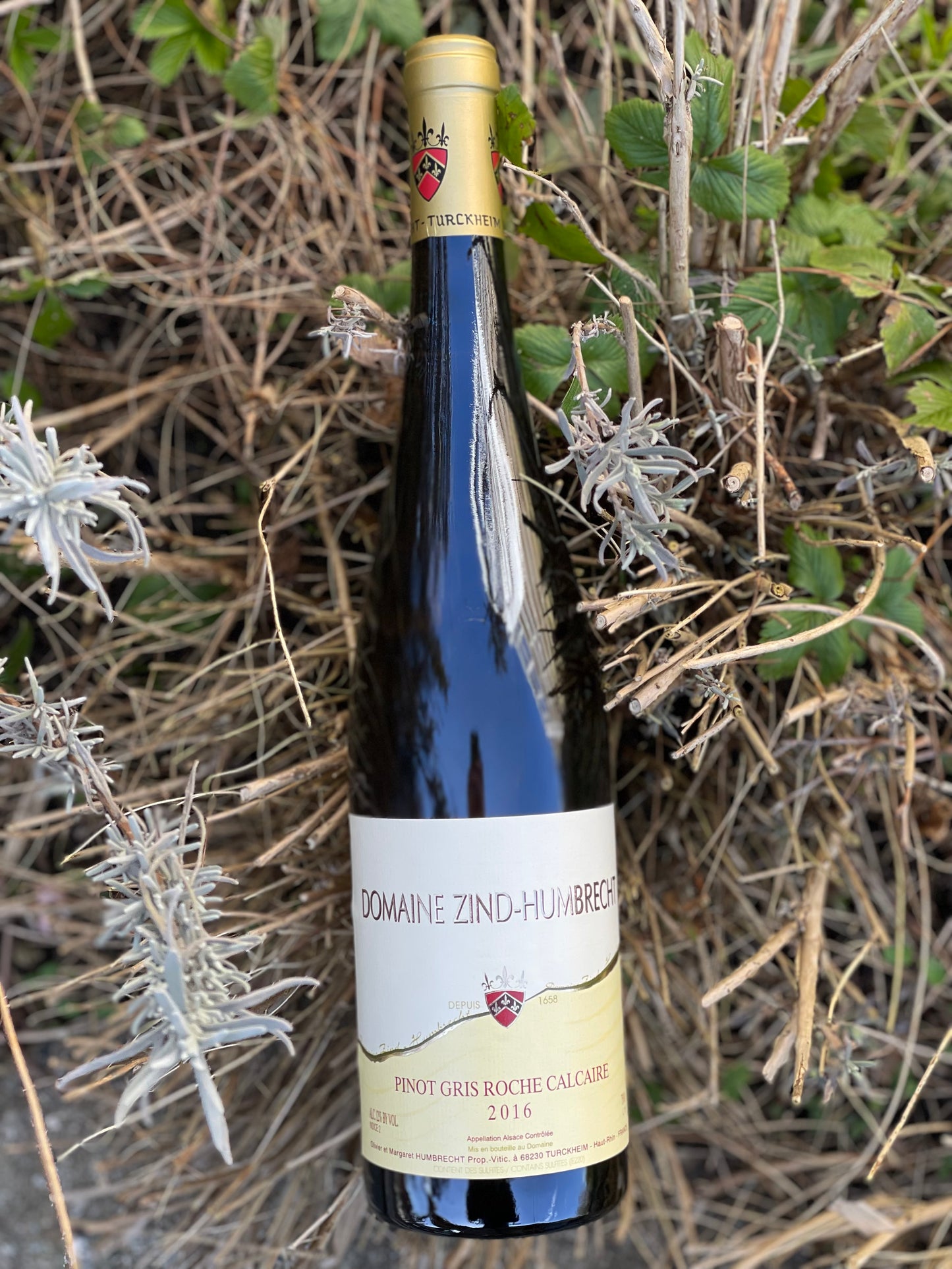 2016 Pinot Gris ”Roche Calcaire"