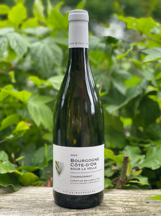 2023 Bourgogne Chardonnay "Sous la Velle"