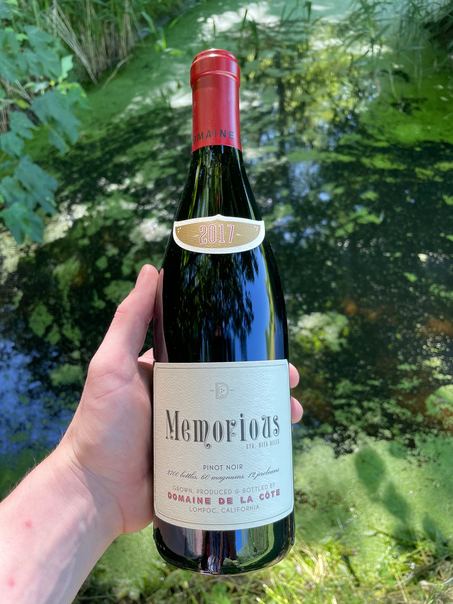 2017 Pinot Noir “Memorious”