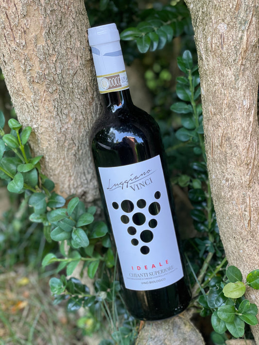 2021 Chianti Superiore