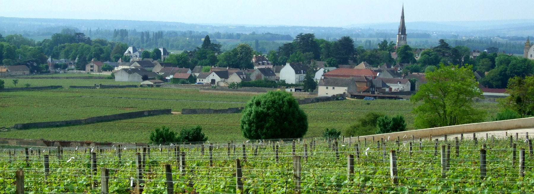 Domaine Bellang · Bannerbillede