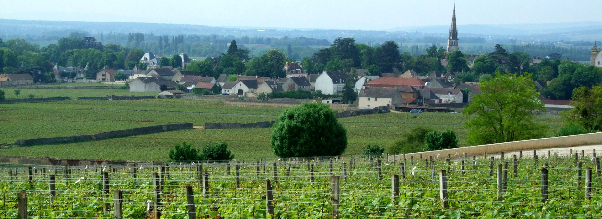 Domaine Bellang