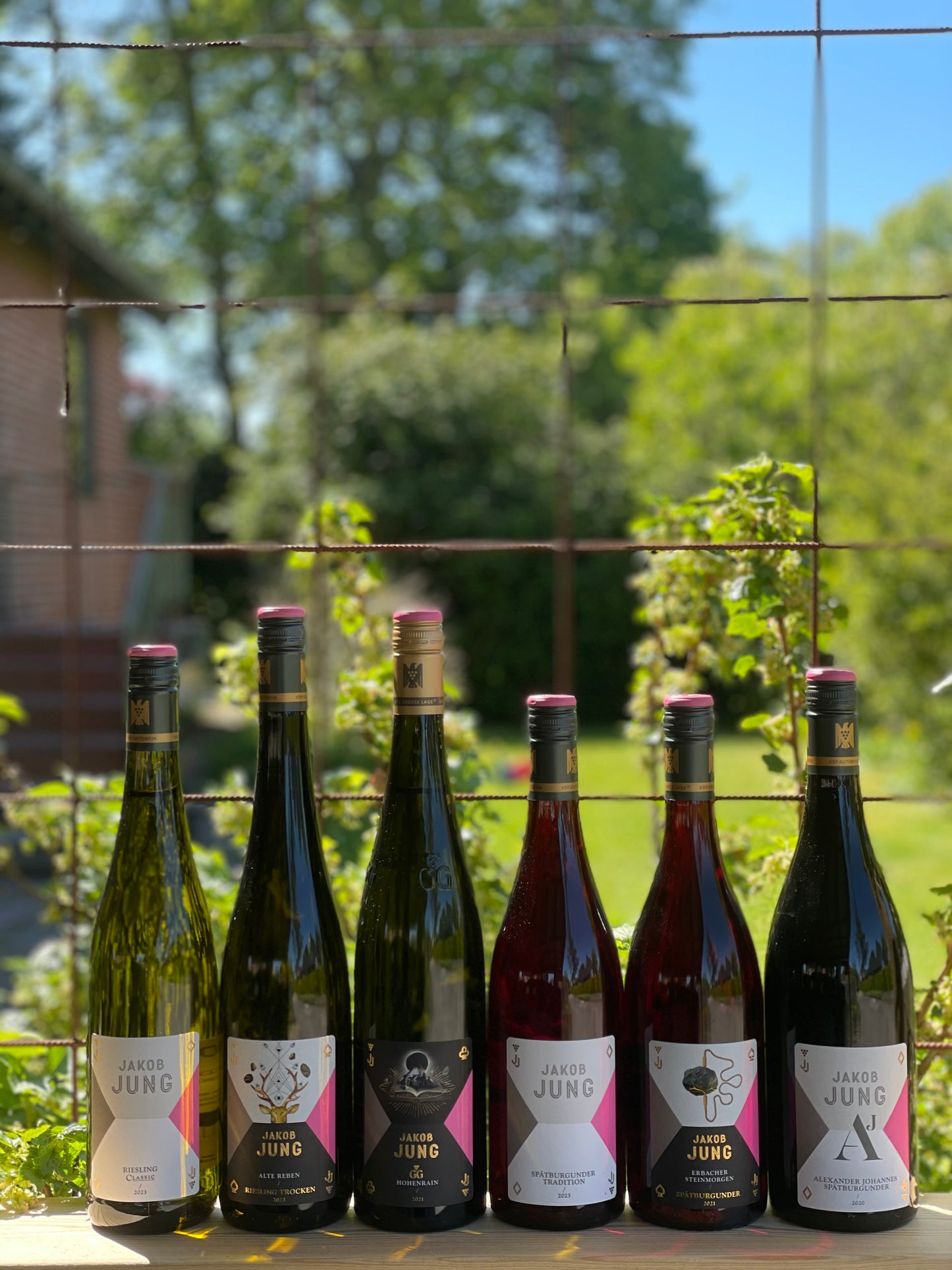 Jakob Jung – Riesling og Spätburgunder fra Rheingau