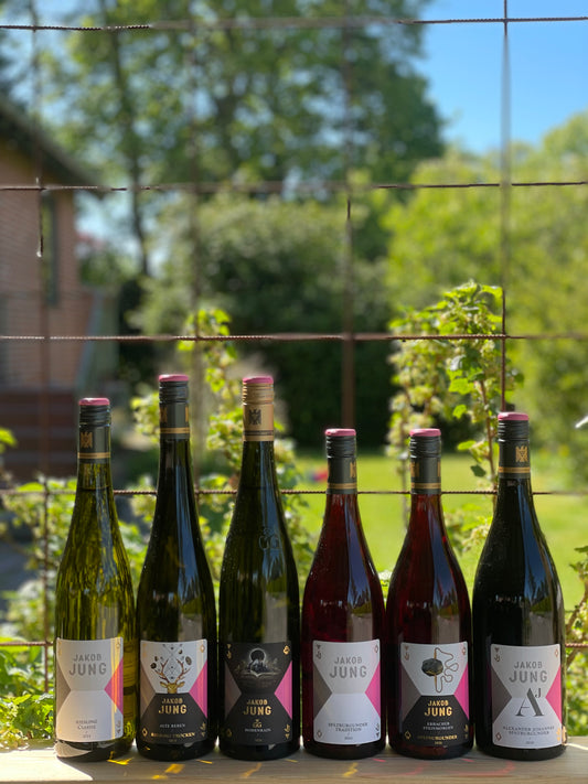 Jakob Jung – Riesling og Spätburgunder fra Rheingau