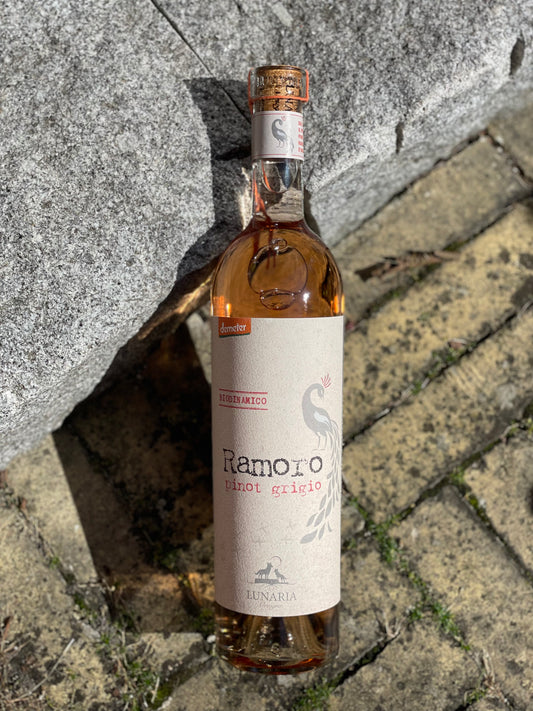 2024 Pinot Grigio Ramato