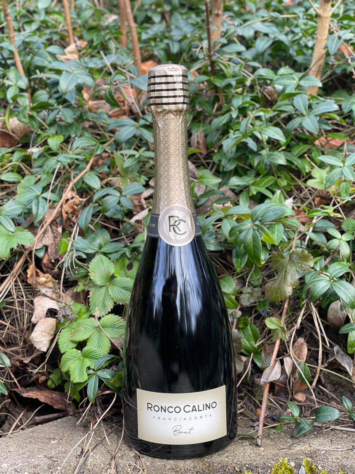 NV Franciacorta Brut