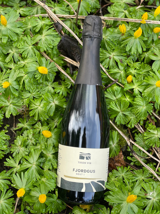 2023 Fjordgus