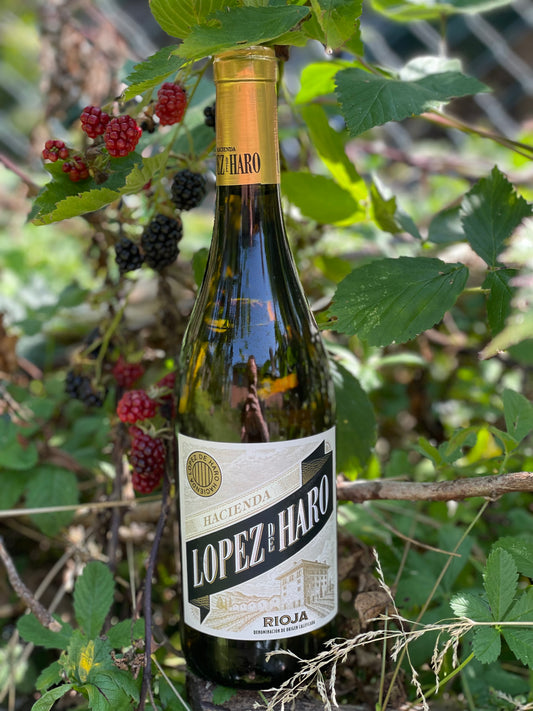 2024 Lopez de Haro Blanco